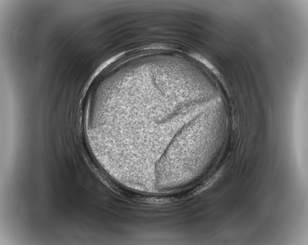X0000086280933200704262033