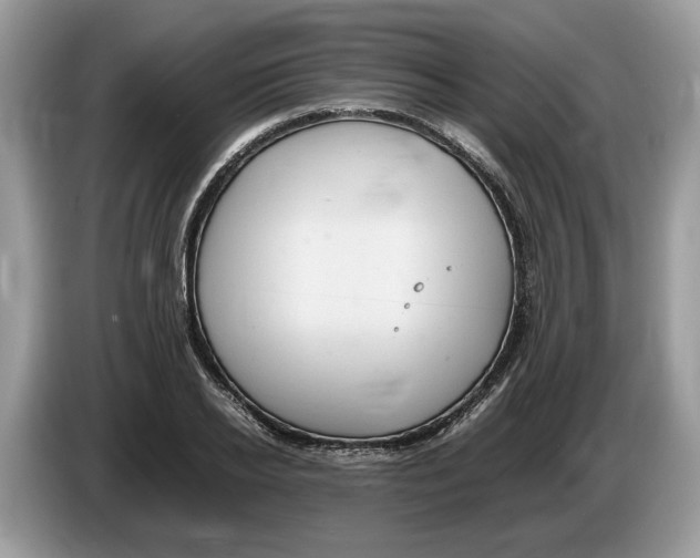 X0000086280934200704262033