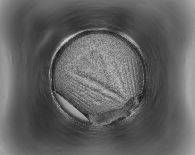 X0000086280935200704262033