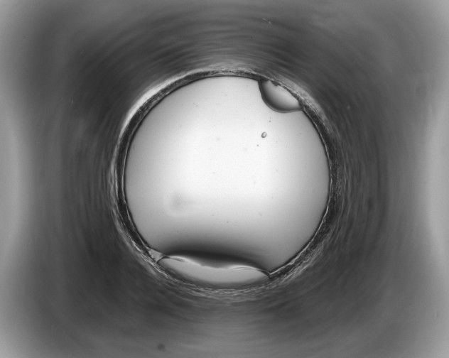 X0000086280936200704262033