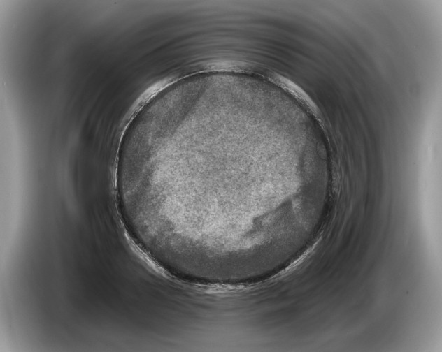 X0000086280938200704262033