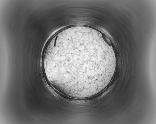 X0000086280940200704262033