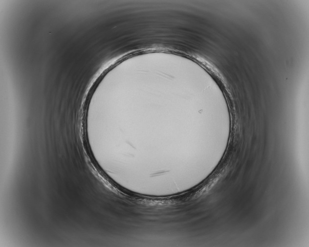 X0000086280941200704262033