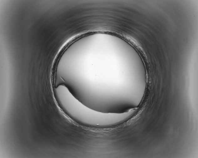 X0000086280942200704262033