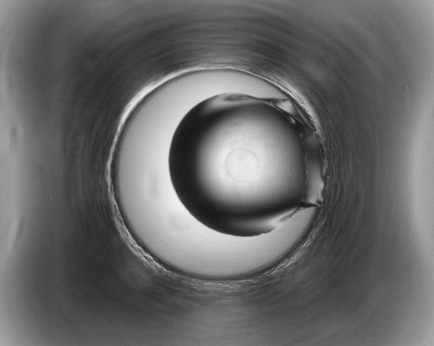 X0000086280944200704262033
