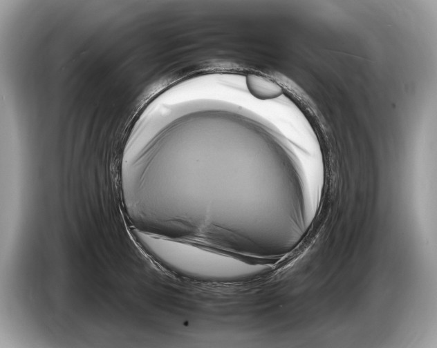 X0000086280945200704262033