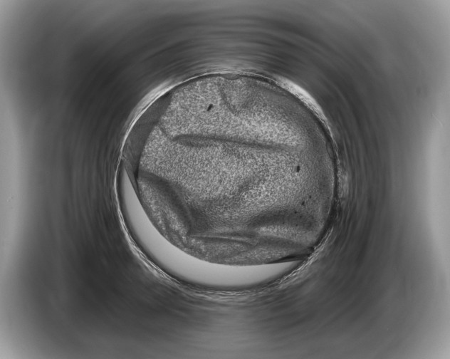 X0000086280946200704262033