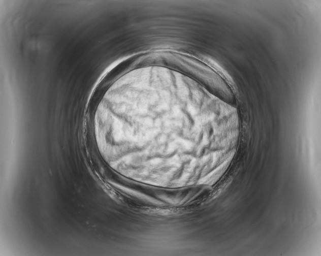 X0000086280948200704262033