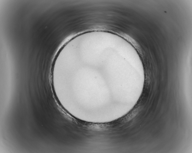 X0000086280950200704262033
