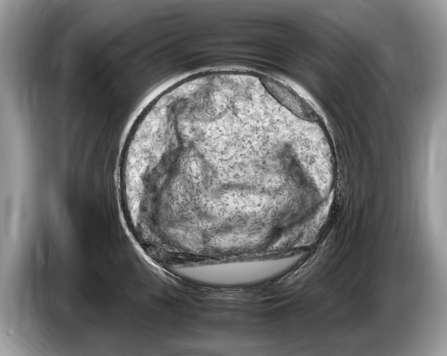 X0000086280951200704262033