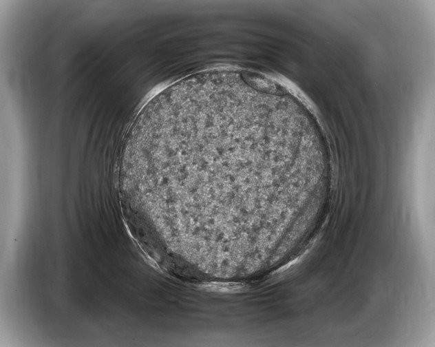 X0000086280953200704262033