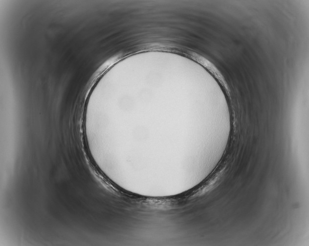 X0000086280954200704262033