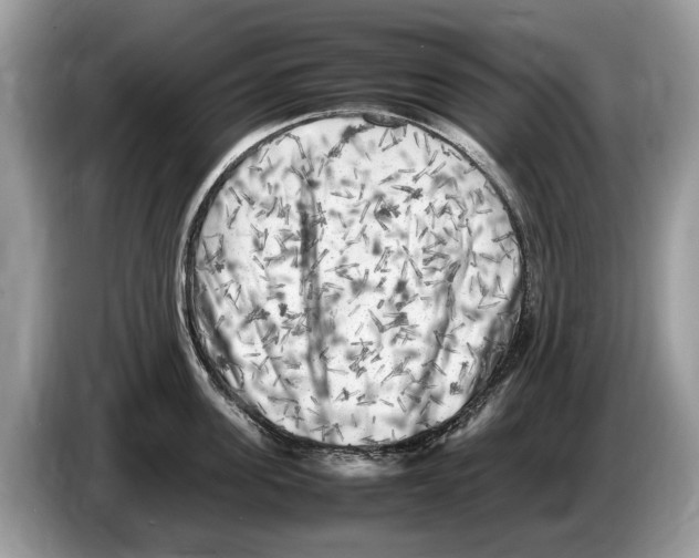 X0000086280955200704262033