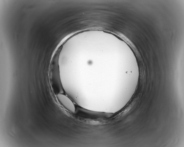X0000086280956200704262033