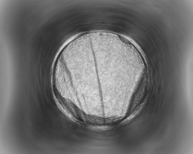 X0000086280957200704262033