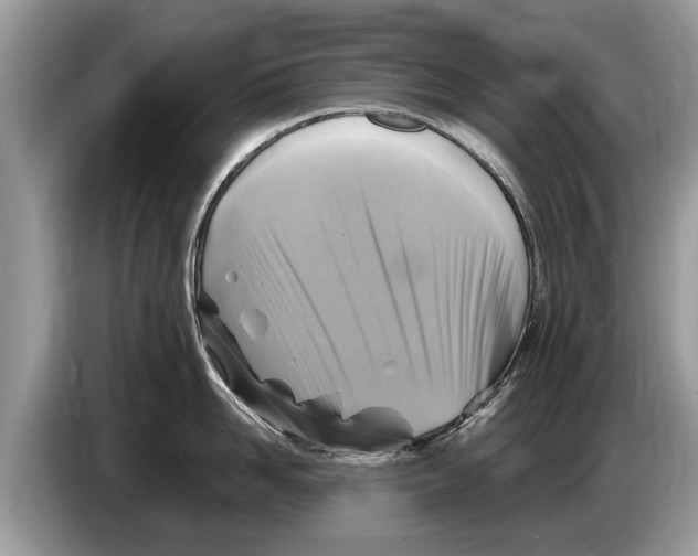 X0000086280958200704262034