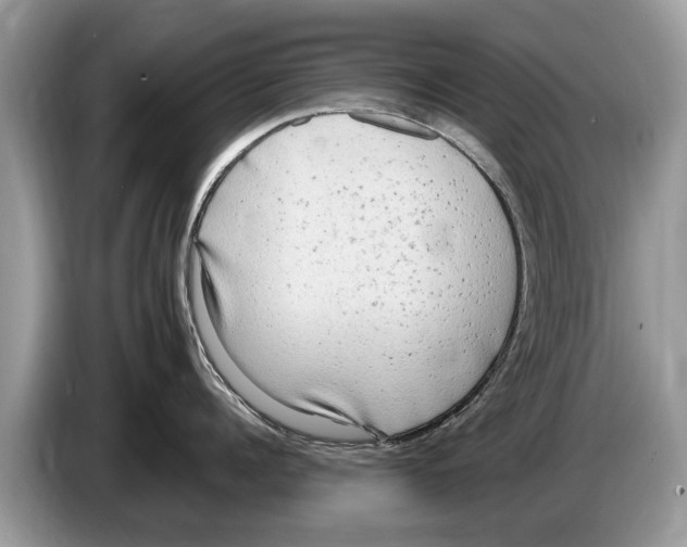 X0000086280960200704262034