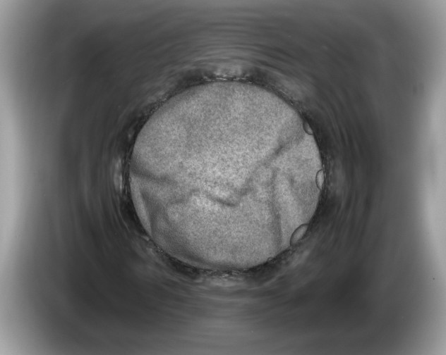 X0000086280962200704262033