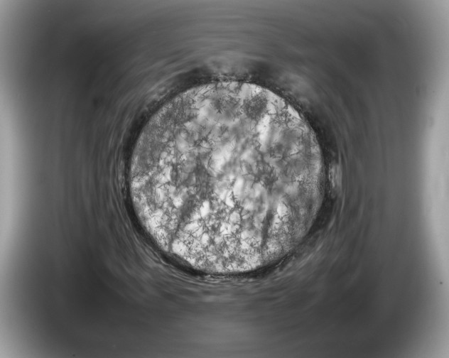 X0000086280963200704262033
