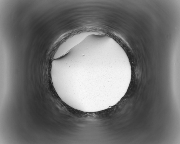 X0000086280968200704262033