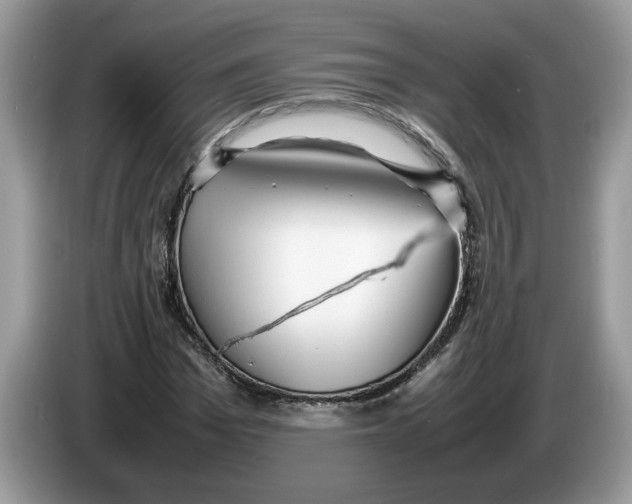 X0000086280969200704262033