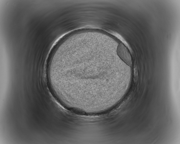 X0000086280972200704262033