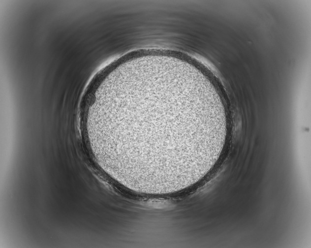 X0000086280974200704262033