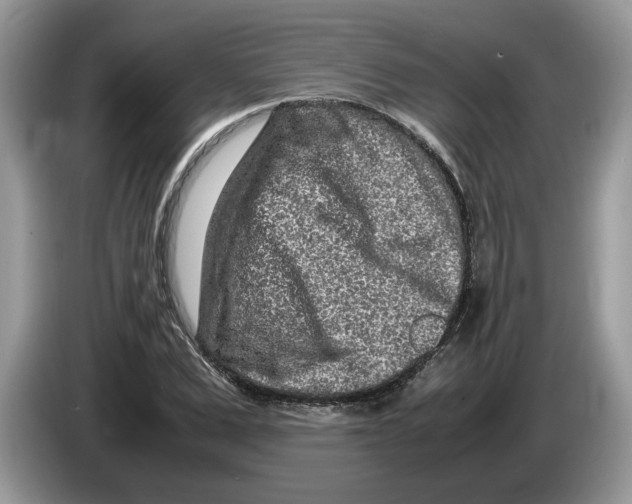 X0000086280975200704262033