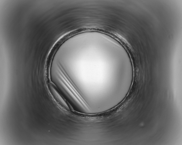 X0000086280976200704262033
