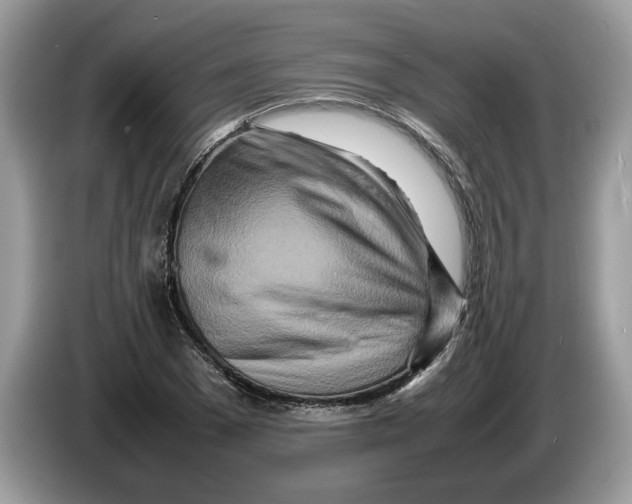 X0000086280977200704262033