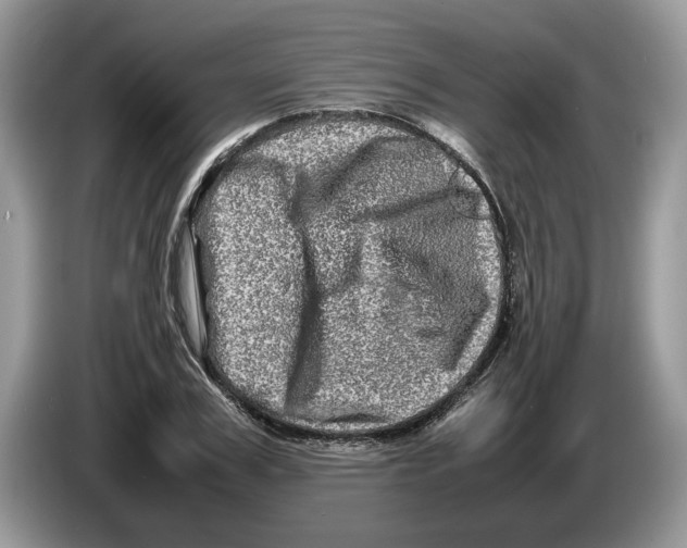 X0000086280979200704262033