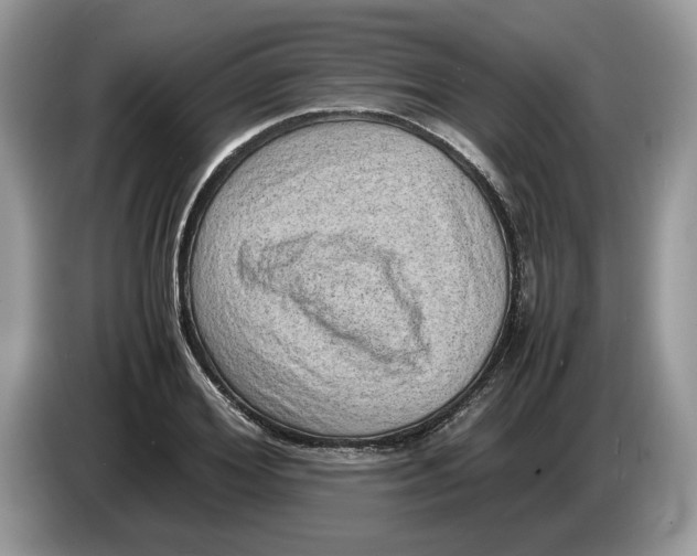 X0000086280980200704262033