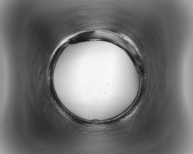 X0000086280981200704262033