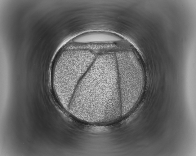 X0000086280982200704262033