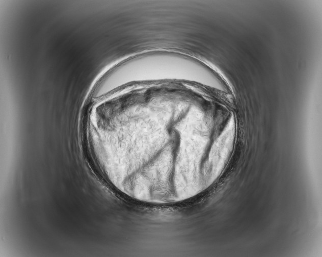X0000086280983200704262033