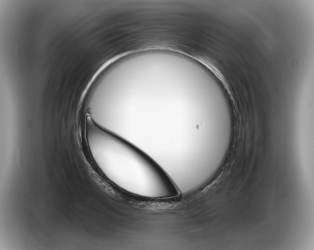 X0000086280984200704262033