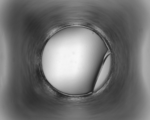 X0000086280985200704262033
