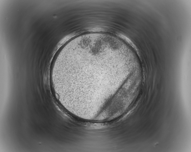 X0000086280986200704262033