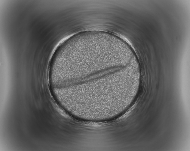 X0000086280987200704262033