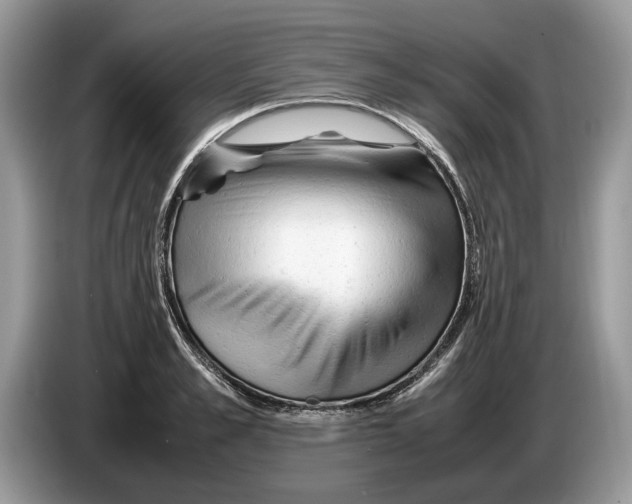 X0000086280989200704262033