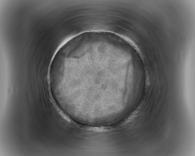 X0000086280990200704262033