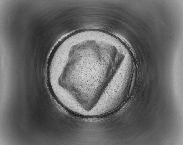 X0000086280992200704262033