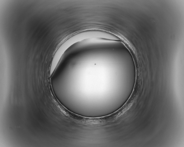 X0000086280993200704262032
