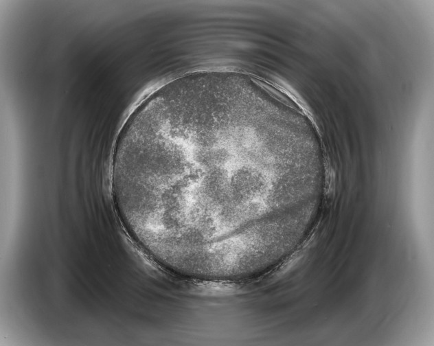 X0000086280994200704262032