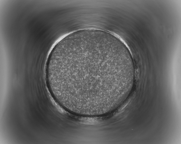 X0000086280995200704262032