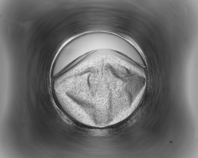 X0000086280996200704262032