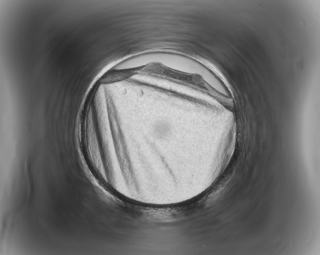 X0000086280999200704262032
