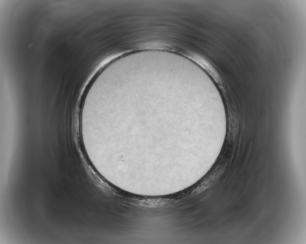 X0000086281000200704262032