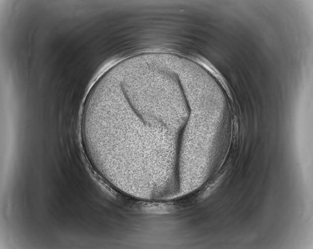 X0000086281002200704262032