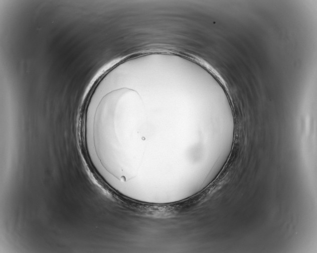 X0000086281003200704262032
